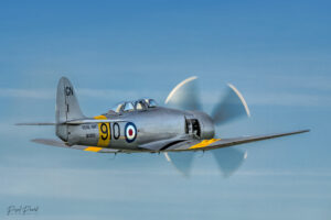 photos d'avion en vol lors de meetings aériens par Pascal Picard