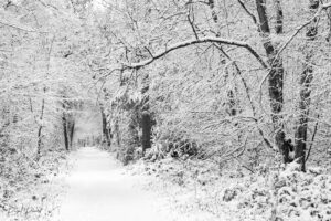 Photo de Fontainebleau par Pascal Picard