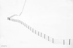 Photo-graphisme-Pascal-Picard