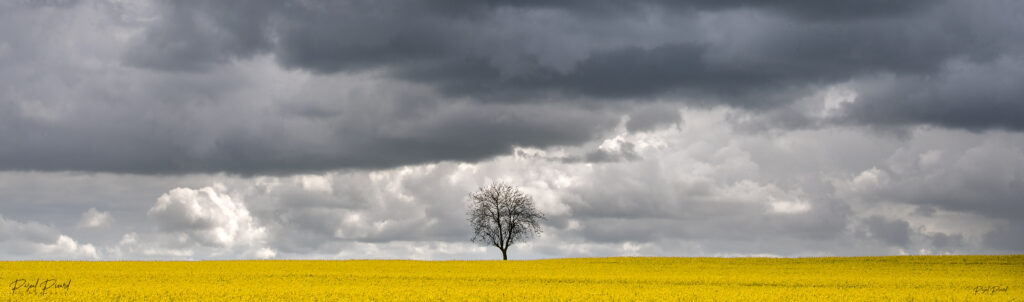 Photos-panoramiques-Pascal-Picard-photographe